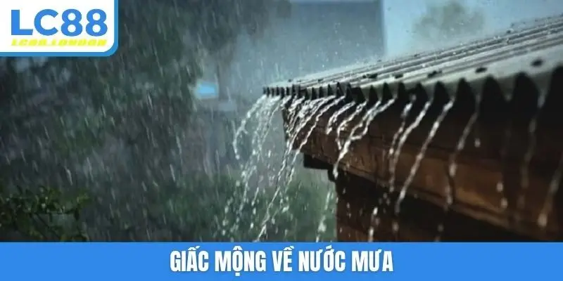 Giấc mộng về nước mưa