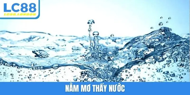 Nằm mơ thấy nước